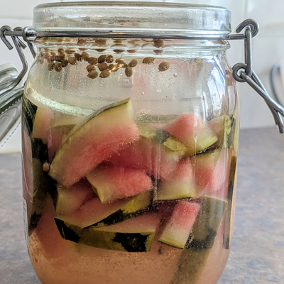 Glass clip-top jar filled with sliced watermelon rind floating in brine fermenting with coriander seed and glass weight holding everything down