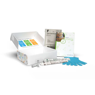 Box containing equipment to perform at home gut microbiome test