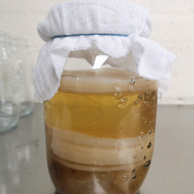 Glass jar of kombucha with white muslin on top