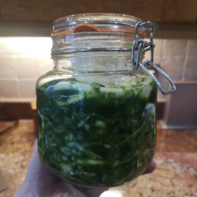 Wild Garlic Sauerkraut