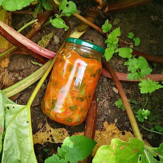 A jar of rhubarb kimchi amongst some rhubarb