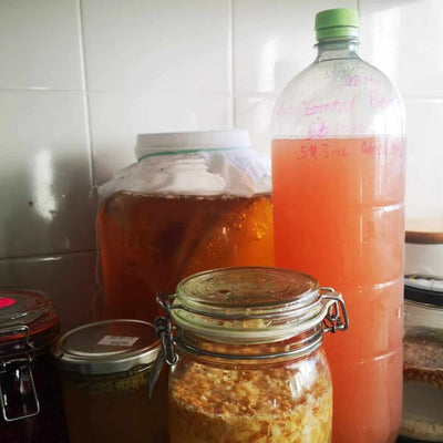 A bottle of rhubarb soda with jars of other fermented products