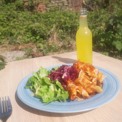 A bottle of orange kefir water and a plate of reclaimed red kraut salad and pasta bake, outside in the sun