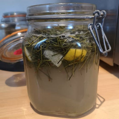An open jar of fermented soda