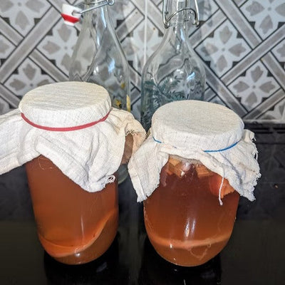 two jars of kombucha tea with muslin clothes and alastic over the tops