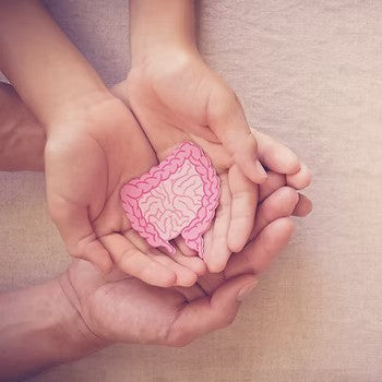 A womens hands holding a symbol of the digestive system and a man holding her hands