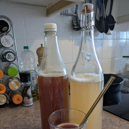 Rhubarb Kombucha