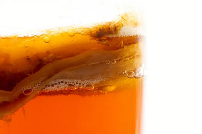 A zoomed in picture of a kombucha scoby