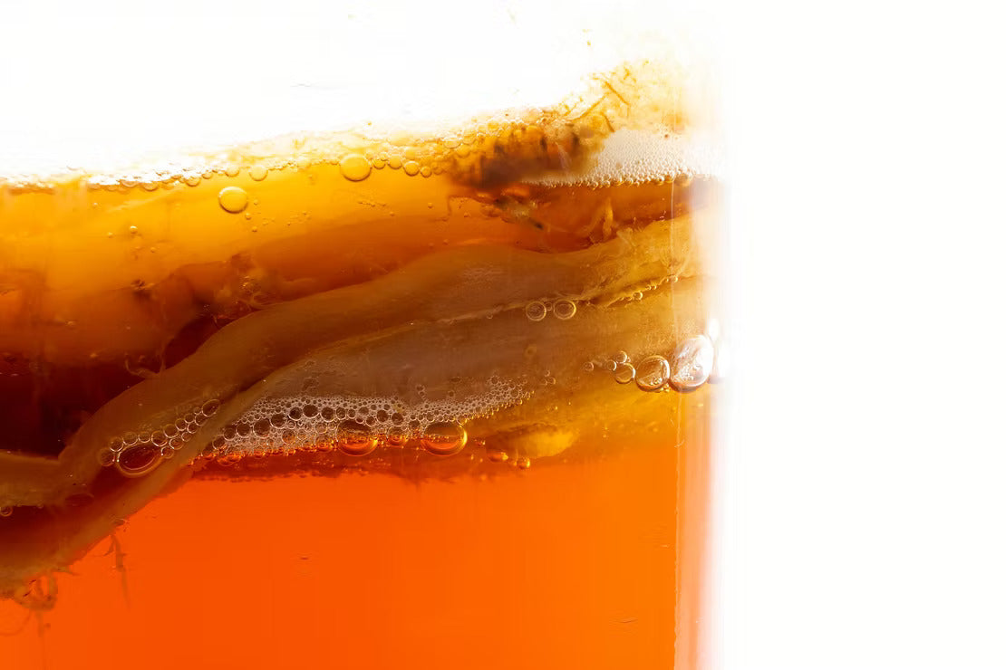 A zoomed in picture of a kombucha scoby