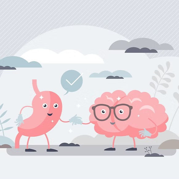 An cartoon stomach and brain shaking hands and smiling