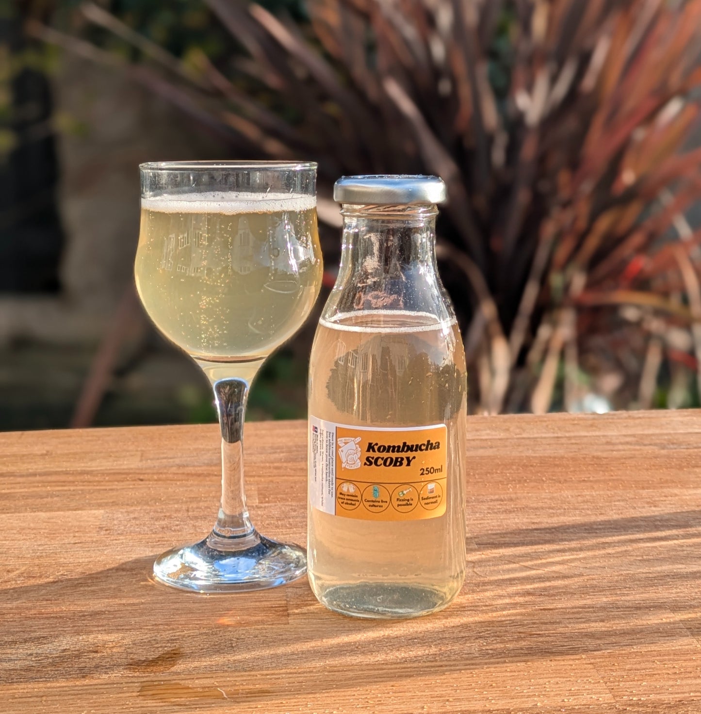 Kombucha Kit image 1