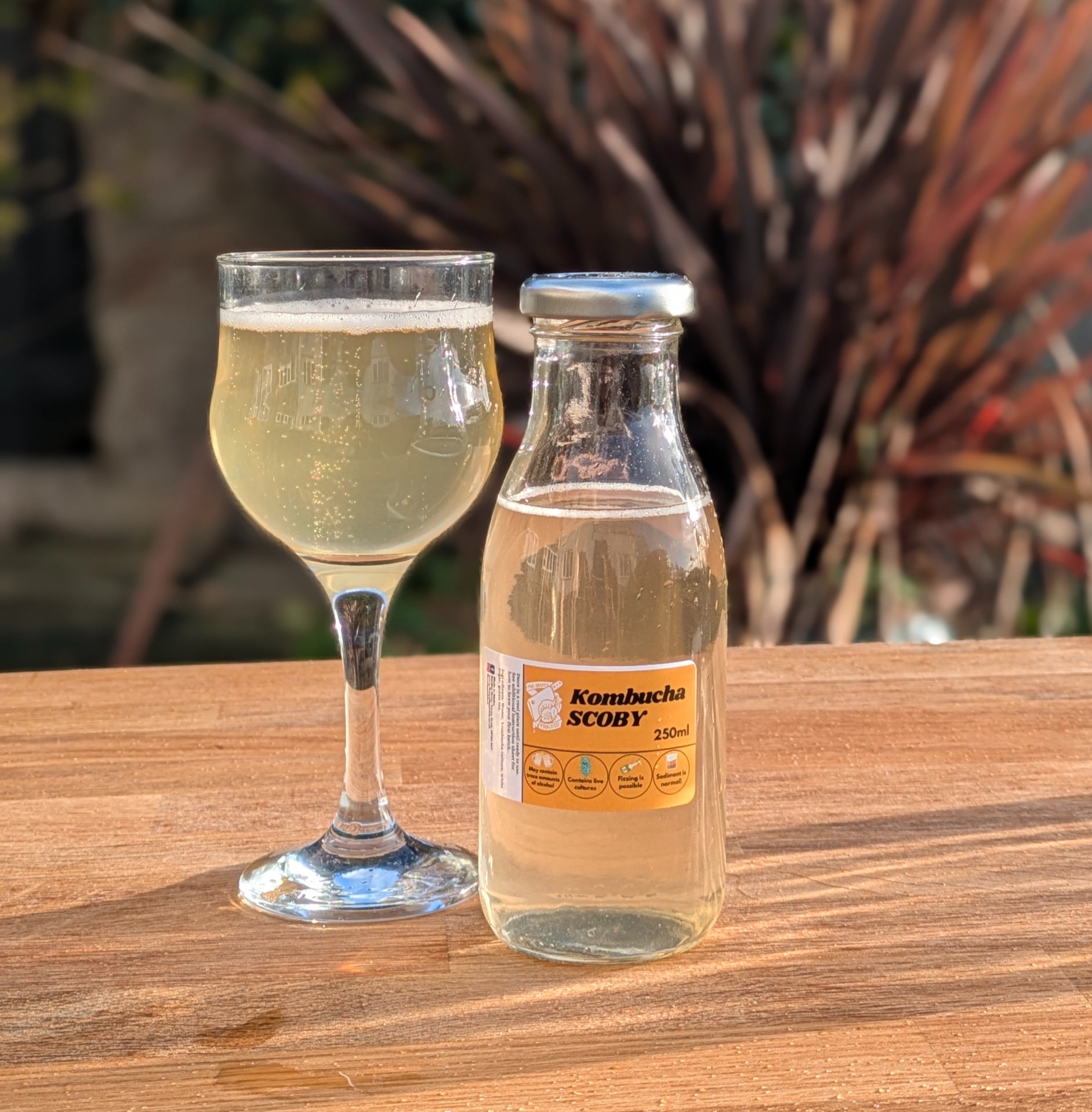 Kombucha Kit image 1
