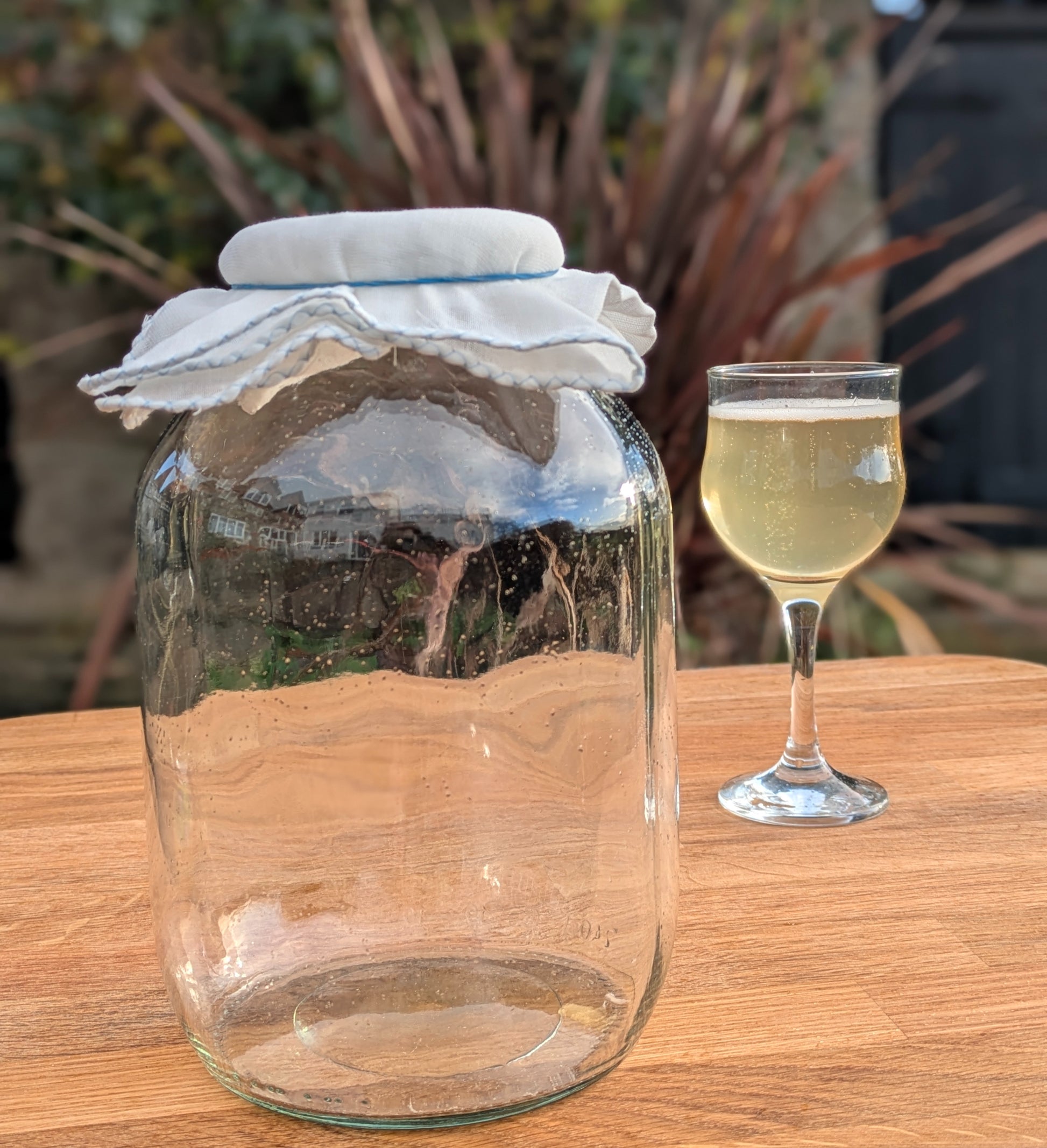 Kombucha Kit image 3