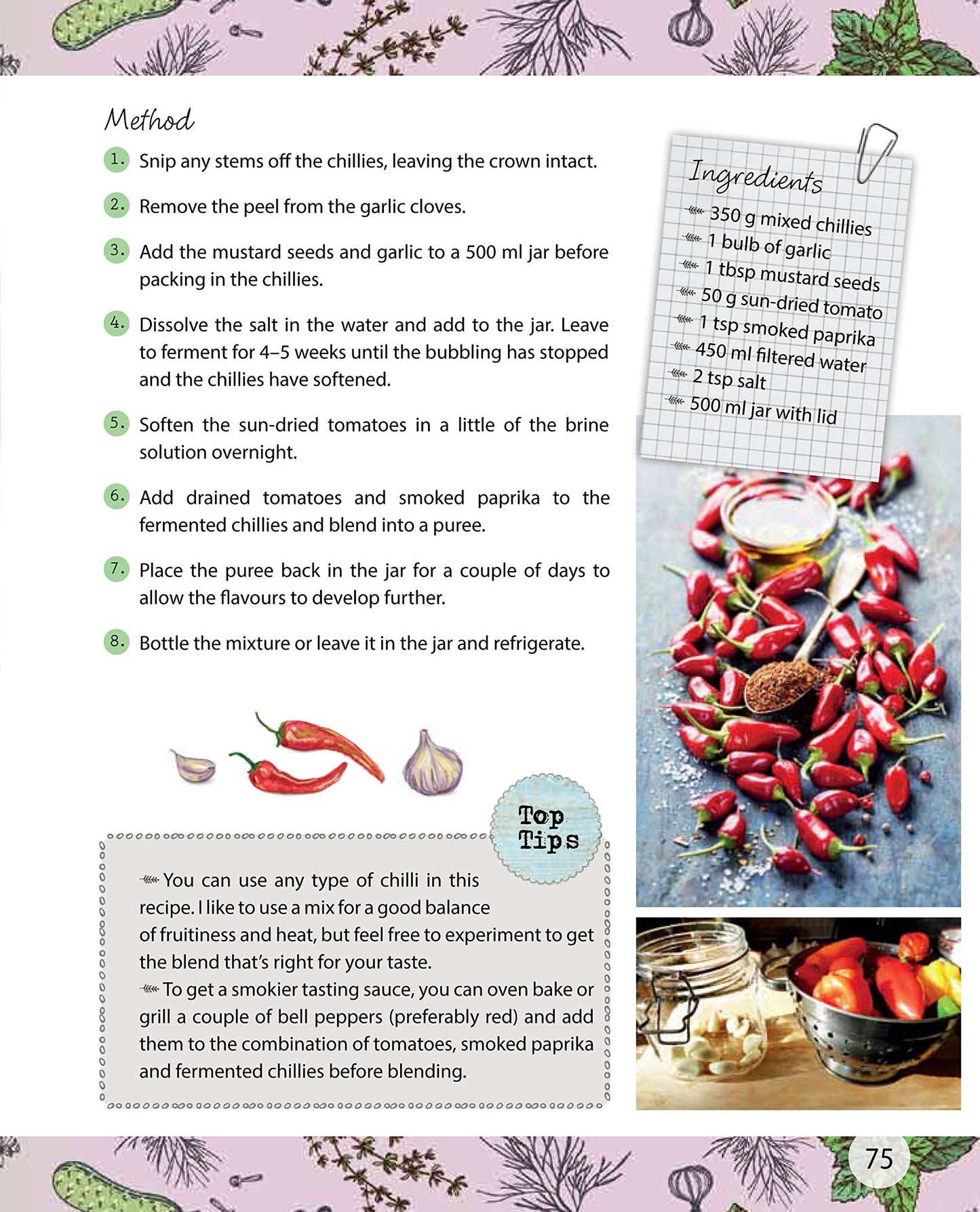 Ferment! Fermentation for Beginners by Rachel Mulligan image 3