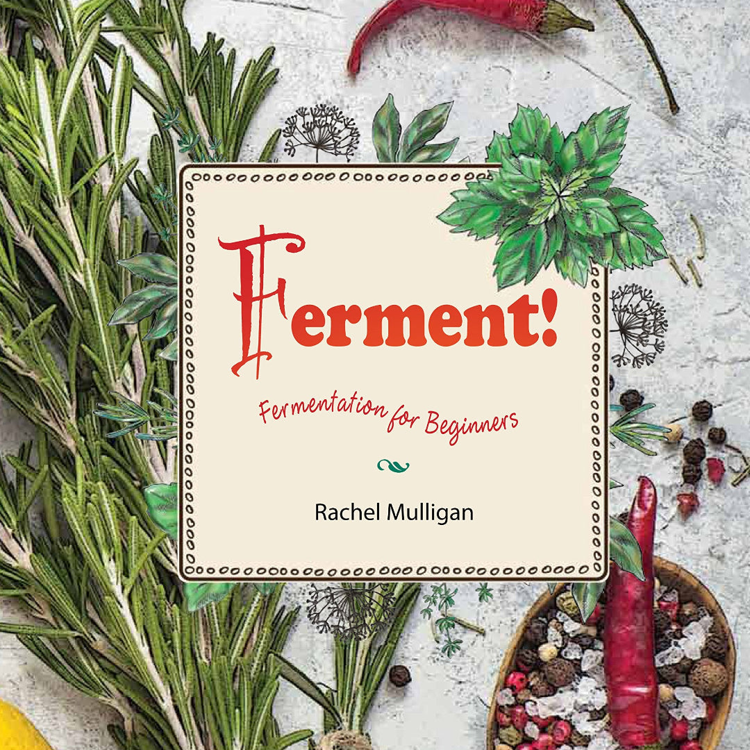 Ferment! Fermentation for Beginners by Rachel Mulligan image 0