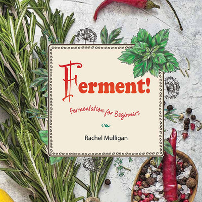 Ferment! Fermentation for Beginners by Rachel Mulligan image 0