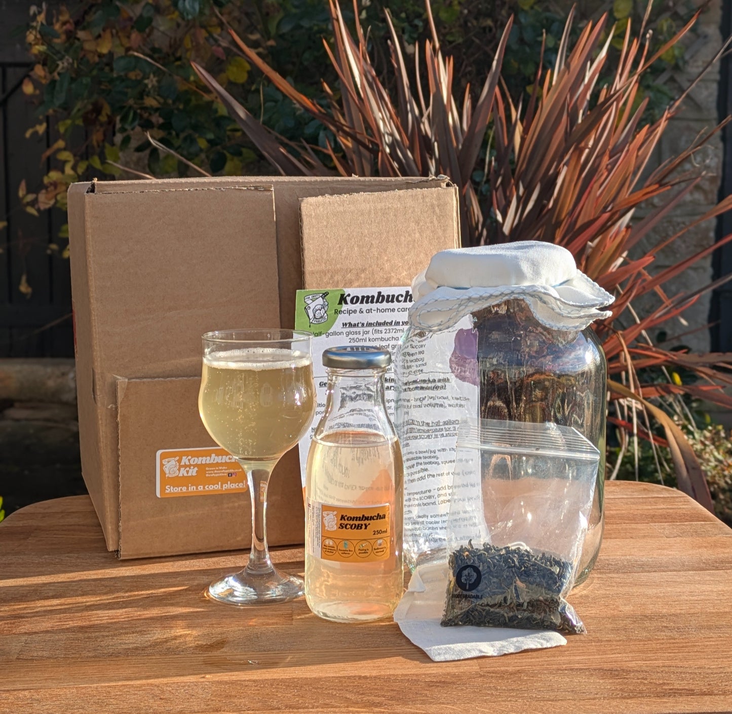 Kombucha Kit image 6
