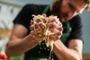 Arthur squeezing a handful of shredded cabbage
