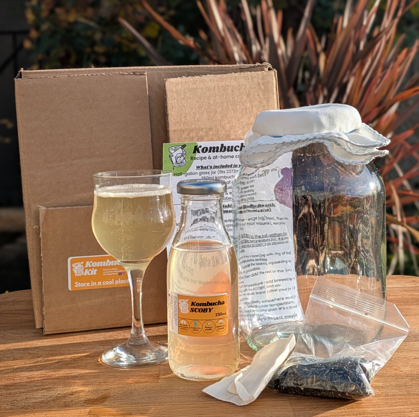 Kombucha Kit image 0