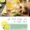 Ferment! Fermentation for Beginners by Rachel Mulligan image 5