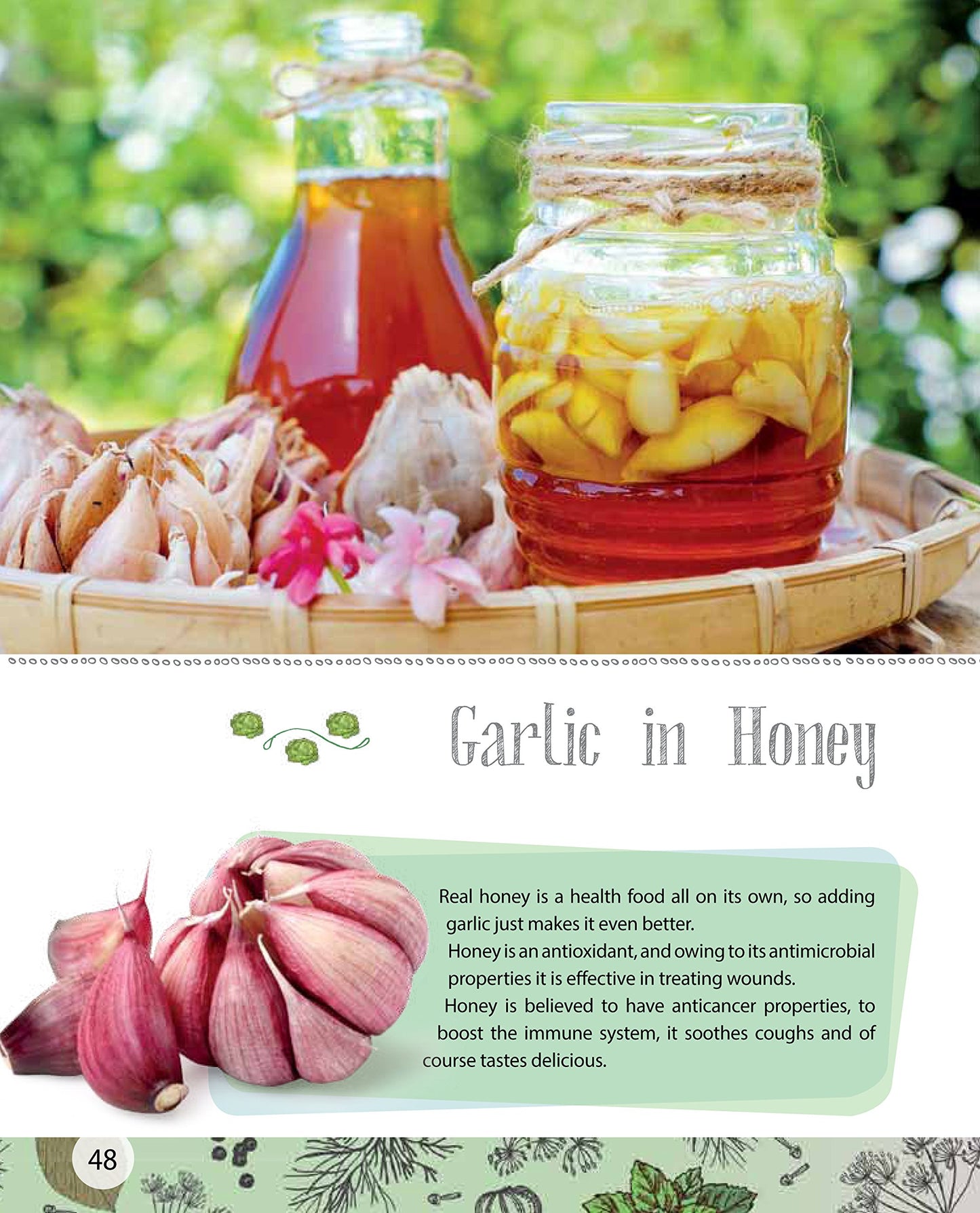 Ferment! Fermentation for Beginners by Rachel Mulligan image 2