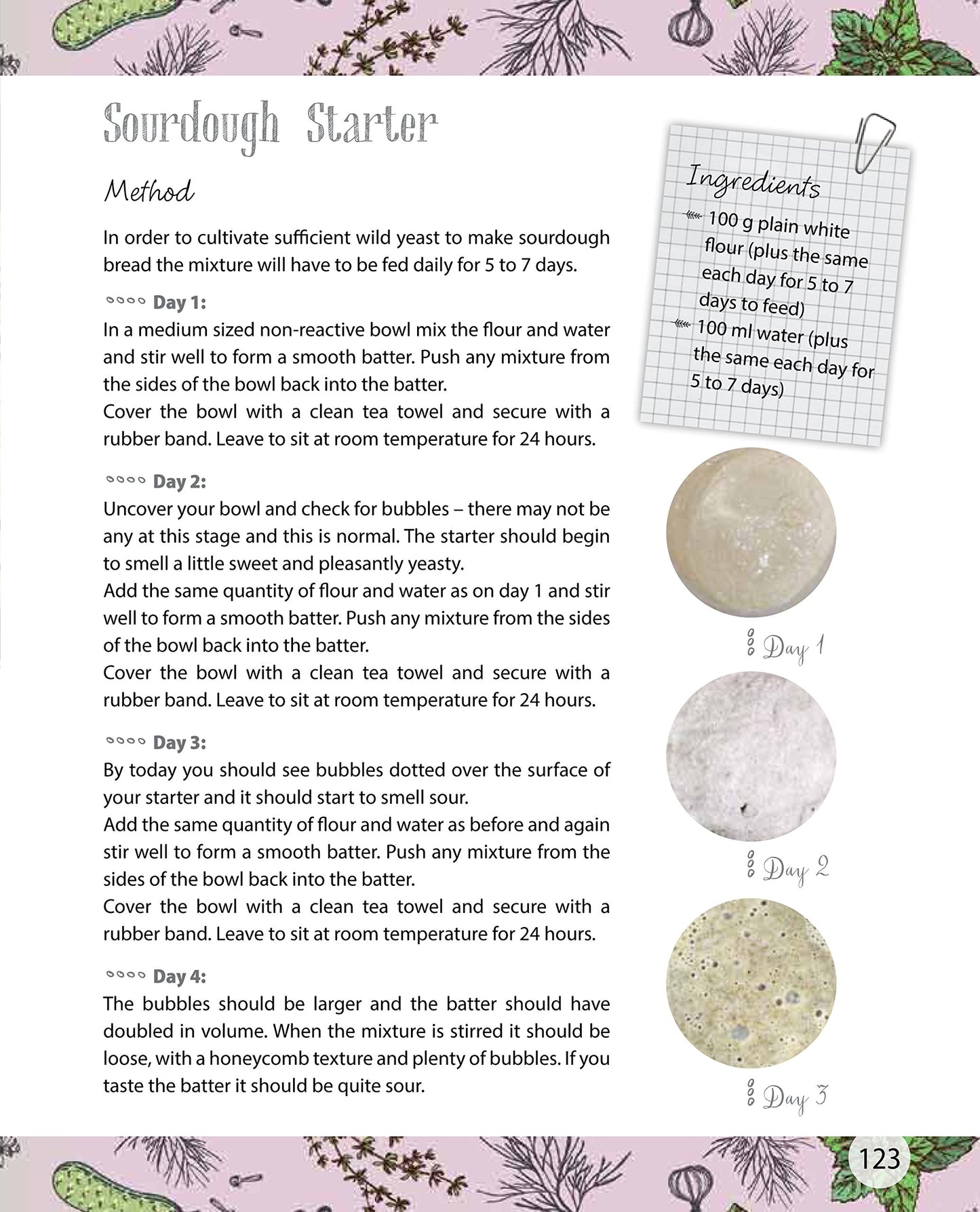 Ferment! Fermentation for Beginners by Rachel Mulligan image 4